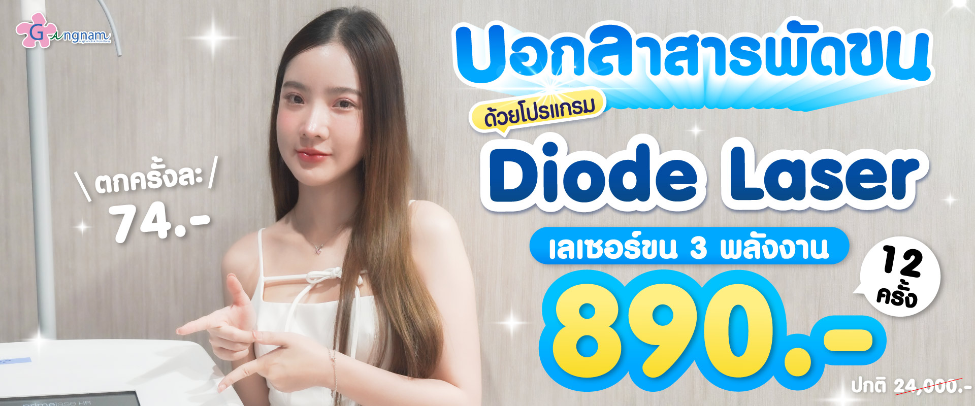 Salepage Diode Banner โปร